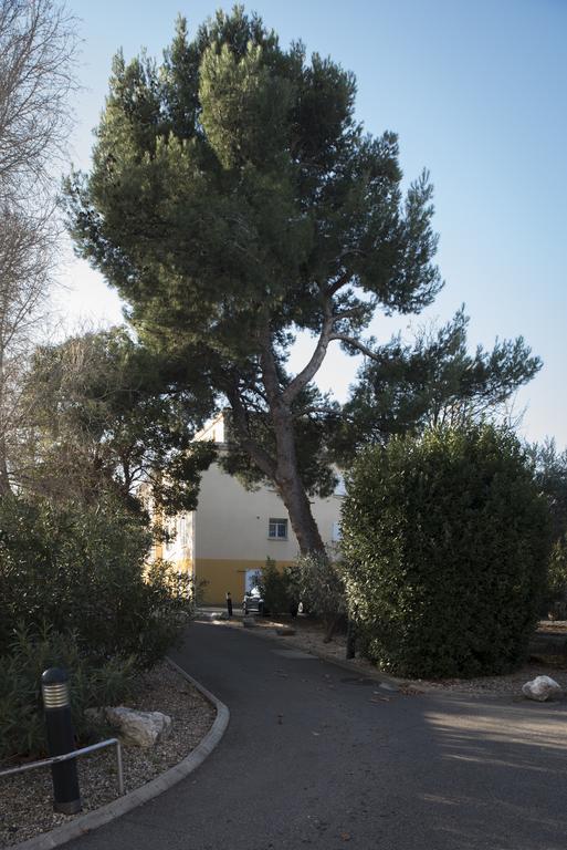 Les Gemeaux Apartment Avignon Luaran gambar